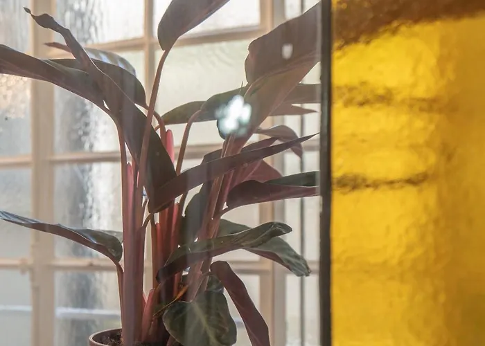 Chaperonniere شقة *